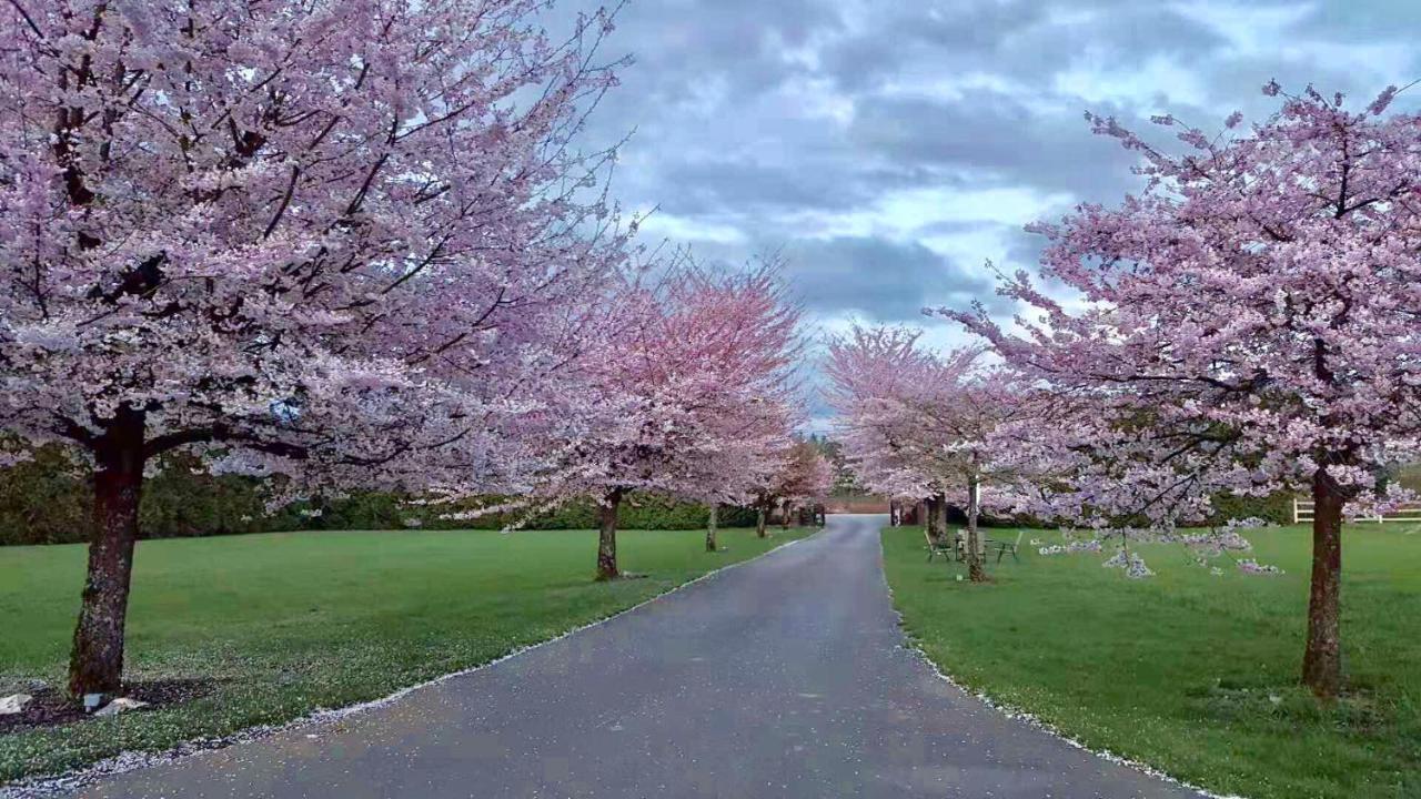 Cedar Manor Bed And Breakfast Pitt Meadows Εξωτερικό φωτογραφία