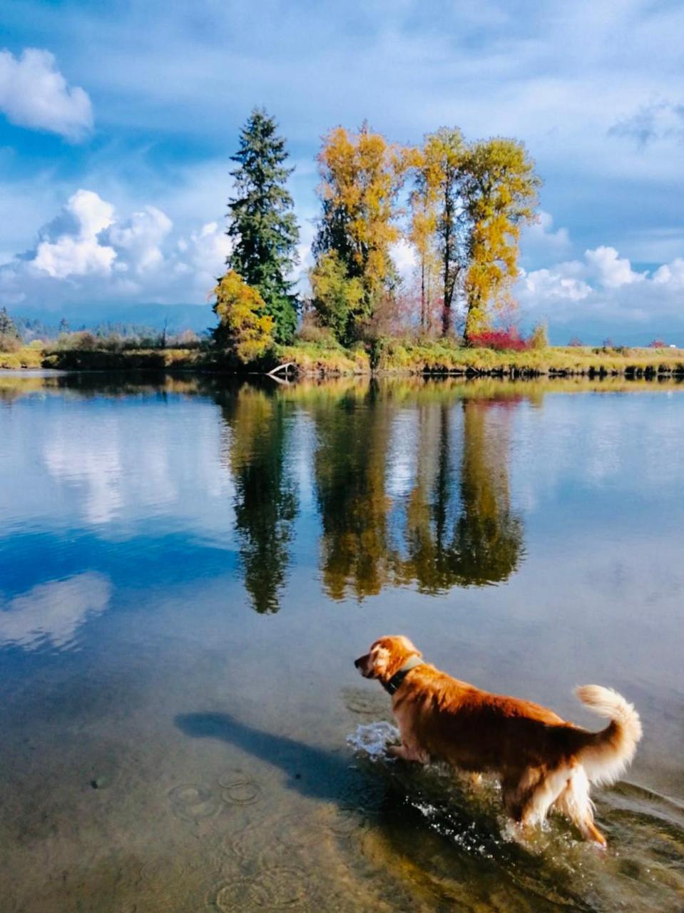 Cedar Manor Bed And Breakfast Pitt Meadows Εξωτερικό φωτογραφία